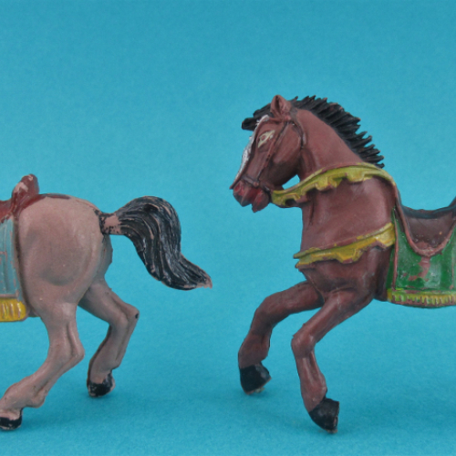 Les 2 types originaux de chevaux utilisés pour la série" Cristianos".