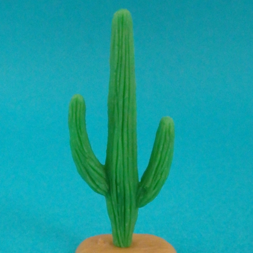 Petit cactus.