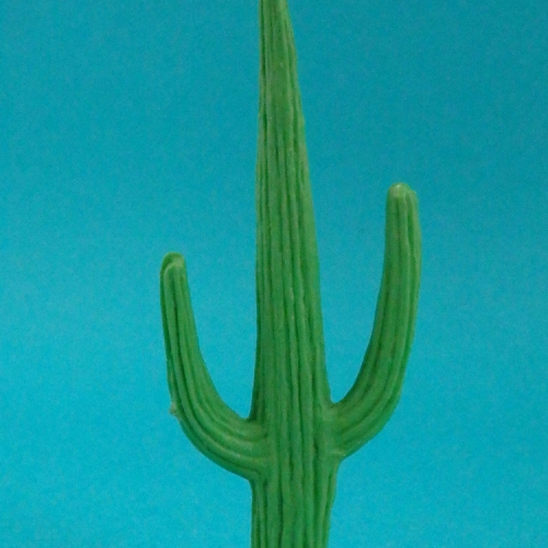 Grand cactus.