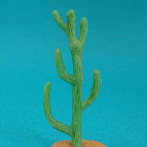 Cactus à plusieurs bras.