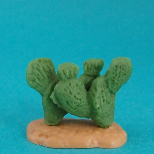 Mini cactus.