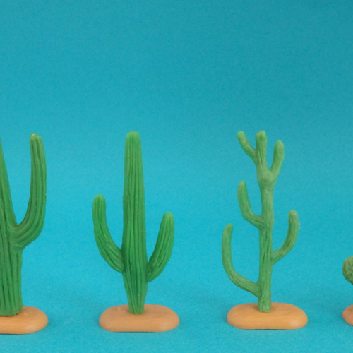 Les 4 cactus existants.
