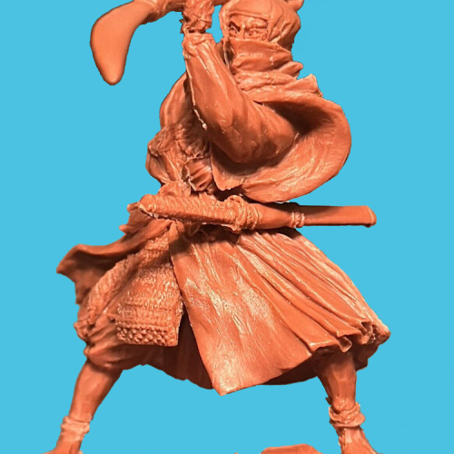 04. Ninja frappant avec une naginata.