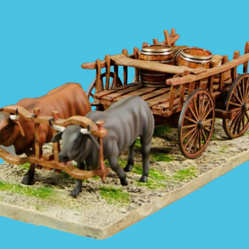 Chariot de transport tiré par des boeufs.